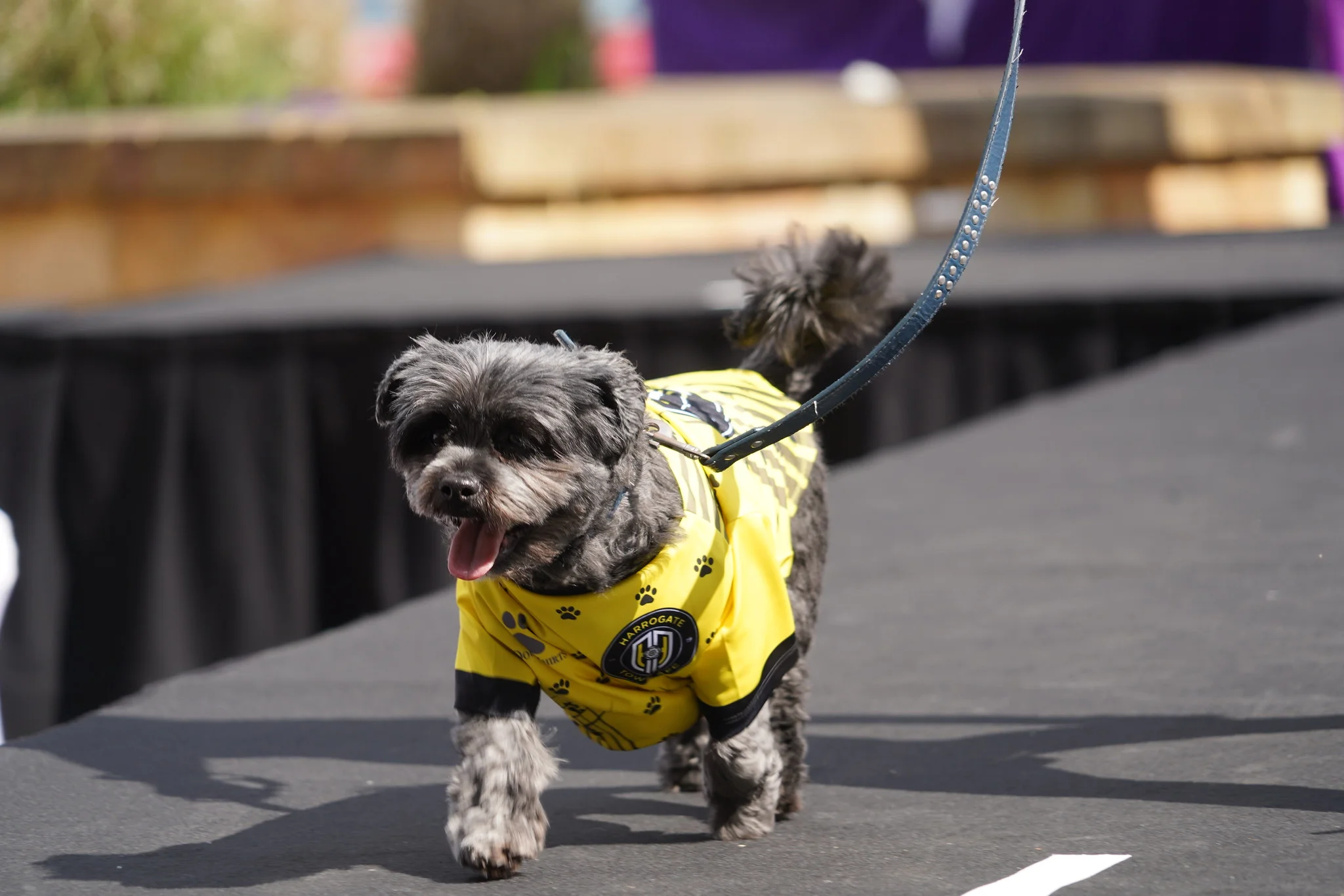 Police sales dog jacket