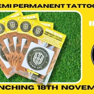 Semi-Permenant Tattoo